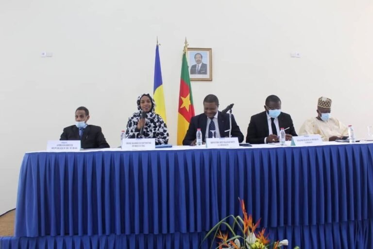 Échanges Bilatéraux entre le Cameroun et le Tchad :                                                      Des Pistes de Solutions aux Doléances des Transporteurs des Deux Pays