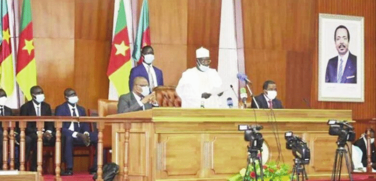 Session Parlementaire de Novembre 2022 :Le Cameroun Opte pour la Politique d’Import-Substitution